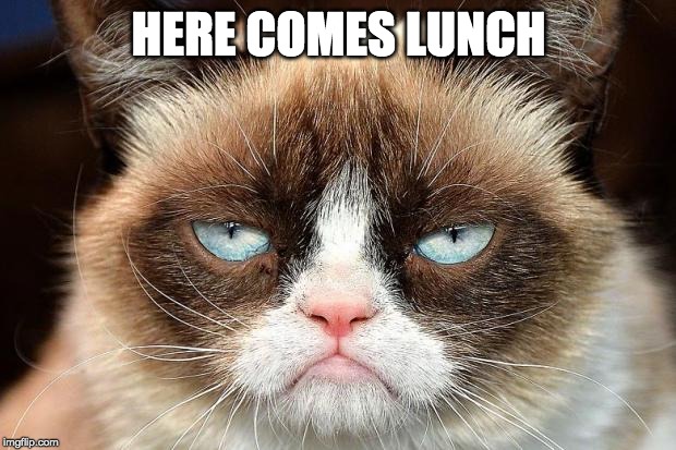 Grumpy Cat Not Amused Meme | HERE COMES LUNCH | image tagged in memes,grumpy cat not amused,grumpy cat | made w/ Imgflip meme maker
