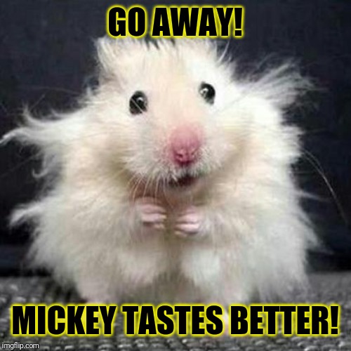 Stressed Mouse | GO AWAY! MICKEY TASTES BETTER! | image tagged in stressed mouse | made w/ Imgflip meme maker
