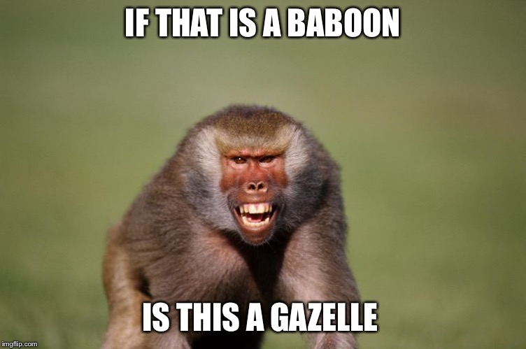 IF THAT IS A BABOON IS THIS A GAZELLE | made w/ Imgflip meme maker