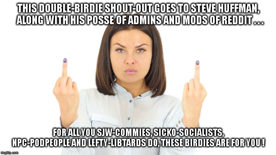 Farewell to Reddit. | THIS DOUBLE-BIRDIE SHOUT-OUT GOES TO STEVE HUFFMAN,  ALONG WITH HIS POSSE OF ADMINS AND MODS OF REDDIT . . . FOR ALL YOU SJW-COMMIES, SICKO-SOCIALISTS, NPC-PODPEOPLE AND LEFTY-LIBTARDS DO, THESE BIRDIES ARE FOR YOU ! | image tagged in reddit,fu | made w/ Imgflip meme maker