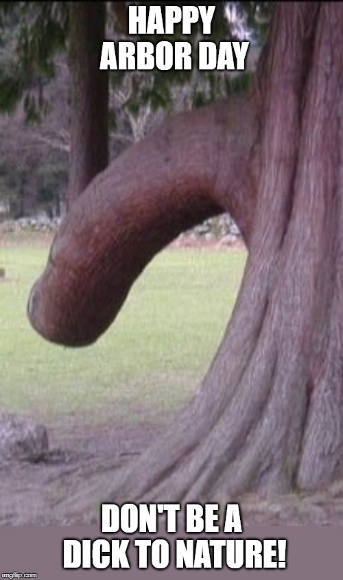 Happy Arbor Day | HAPPY ARBOR DAY; DON'T BE A DICK TO NATURE! | image tagged in trees | made w/ Imgflip meme maker