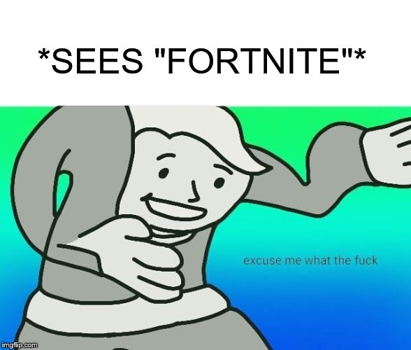 Excuse me, what the fuck | *SEES "FORTNITE"* | image tagged in excuse me what the fuck | made w/ Imgflip meme maker