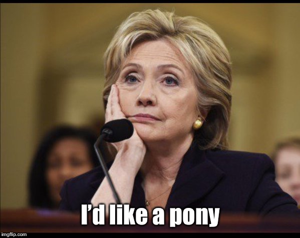 Bored Hillary | I’d like a pony | image tagged in bored hillary | made w/ Imgflip meme maker