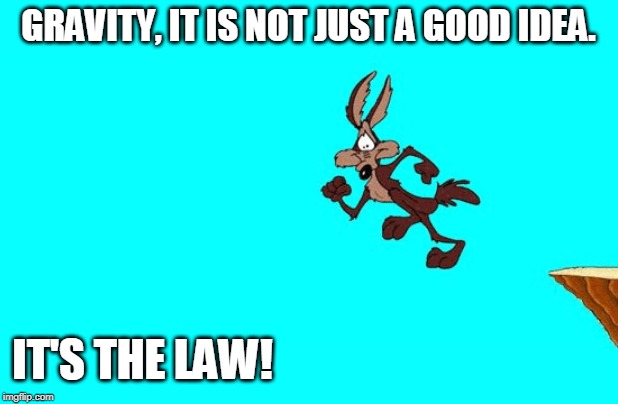 Gravity | GRAVITY, IT IS NOT JUST A GOOD IDEA. IT'S THE LAW! | image tagged in gravity | made w/ Imgflip meme maker
