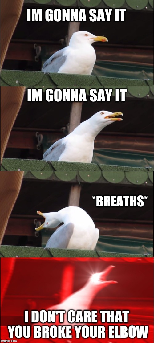 Inhaling Seagull Meme | IM GONNA SAY IT; IM GONNA SAY IT; *BREATHS*; I DON'T CARE THAT YOU BROKE YOUR ELBOW | image tagged in memes,inhaling seagull | made w/ Imgflip meme maker