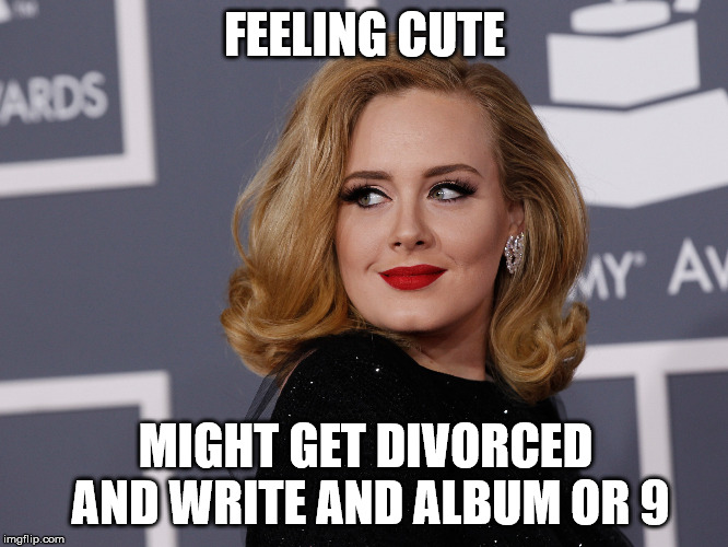 FEELING CUTE; MIGHT GET DIVORCED AND WRITE AND ALBUM OR 9 | image tagged in adele,funny memes,imgflip,meme,funny | made w/ Imgflip meme maker