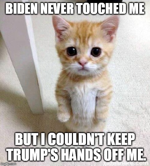 Cute Cat Meme | BIDEN NEVER TOUCHED ME BUT I COULDN'T KEEP TRUMP'S HANDS OFF ME. | image tagged in memes,cute cat | made w/ Imgflip meme maker