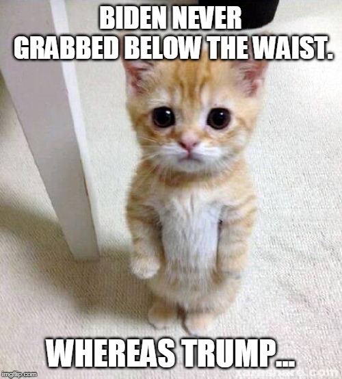 Cute Cat Meme | BIDEN NEVER GRABBED BELOW THE WAIST. WHEREAS TRUMP... | image tagged in memes,cute cat | made w/ Imgflip meme maker