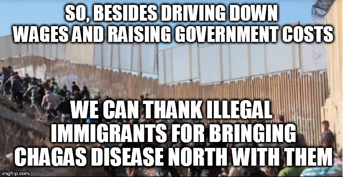 Illegal Immigrants | SO, BESIDES DRIVING DOWN WAGES AND RAISING GOVERNMENT COSTS; WE CAN THANK ILLEGAL IMMIGRANTS FOR BRINGING CHAGAS DISEASE NORTH WITH THEM | image tagged in illegal immigrants | made w/ Imgflip meme maker