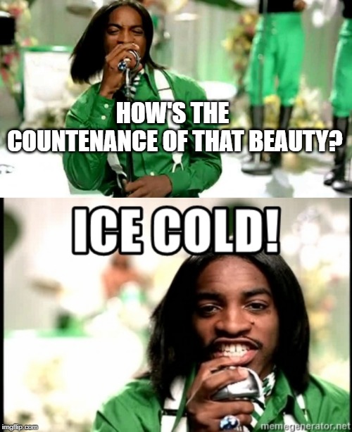 HOW'S THE COUNTENANCE OF THAT BEAUTY? | image tagged in ice cold | made w/ Imgflip meme maker