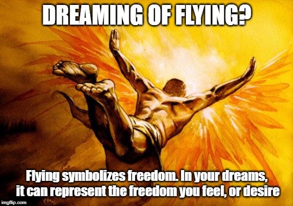 DREAMING OF FLYING? Flying symbolizes freedom. In your dreams, it can represent the freedom you feel, or desire | image tagged in dreams,flying,freedom | made w/ Imgflip meme maker