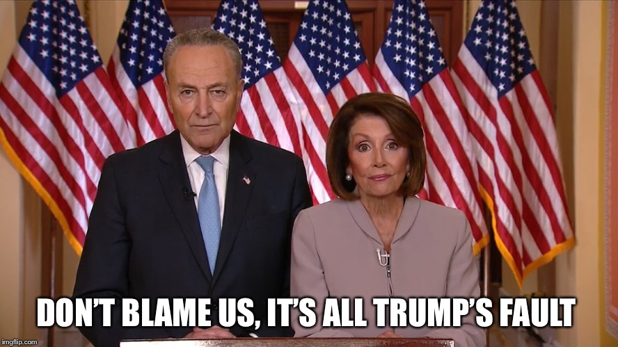 Chuck and Nancy | DON’T BLAME US, IT’S ALL TRUMP’S FAULT | image tagged in chuck and nancy | made w/ Imgflip meme maker