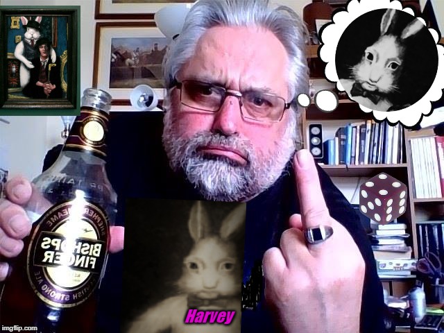 HARVEY AND ME | Harvey | image tagged in harvey and me | made w/ Imgflip meme maker