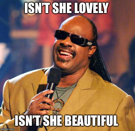 Stevie Wonder Solar Eclipse | ISN’T SHE LOVELY ISN’T SHE BEAUTIFUL | image tagged in stevie wonder solar eclipse | made w/ Imgflip meme maker