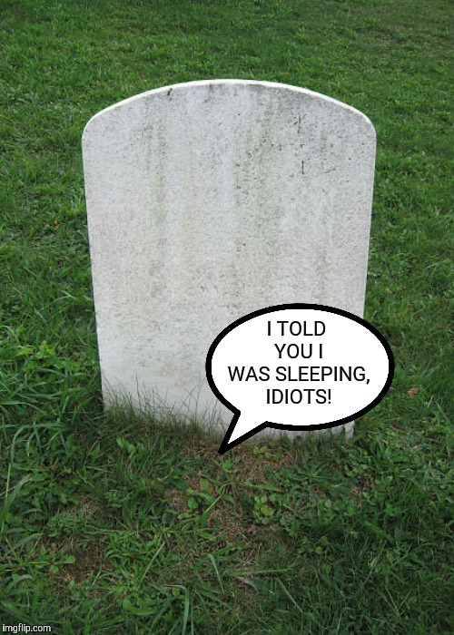 Grave Stone | I TOLD YOU I WAS SLEEPING, IDIOTS! | image tagged in grave stone | made w/ Imgflip meme maker