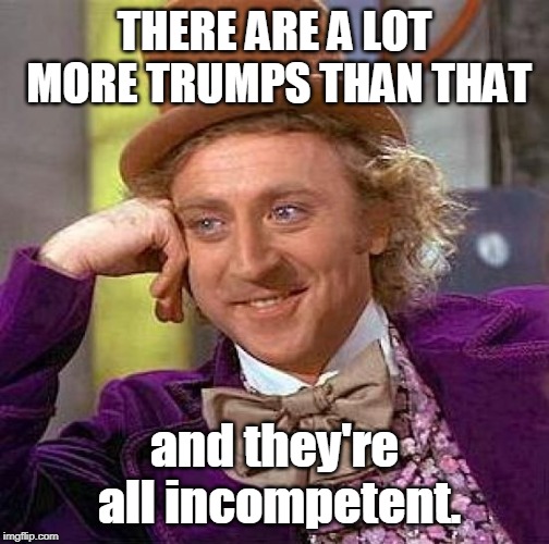 Creepy Condescending Wonka Meme | THERE ARE A LOT MORE TRUMPS THAN THAT and they're all incompetent. | image tagged in memes,creepy condescending wonka | made w/ Imgflip meme maker