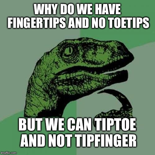 Philosoraptor | WHY DO WE HAVE FINGERTIPS AND NO TOETIPS; BUT WE CAN TIPTOE AND NOT TIPFINGER | image tagged in memes,philosoraptor | made w/ Imgflip meme maker