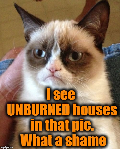 Grumpy Cat Meme | I see UNBURNED houses in that pic.  What a shame | image tagged in memes,grumpy cat | made w/ Imgflip meme maker