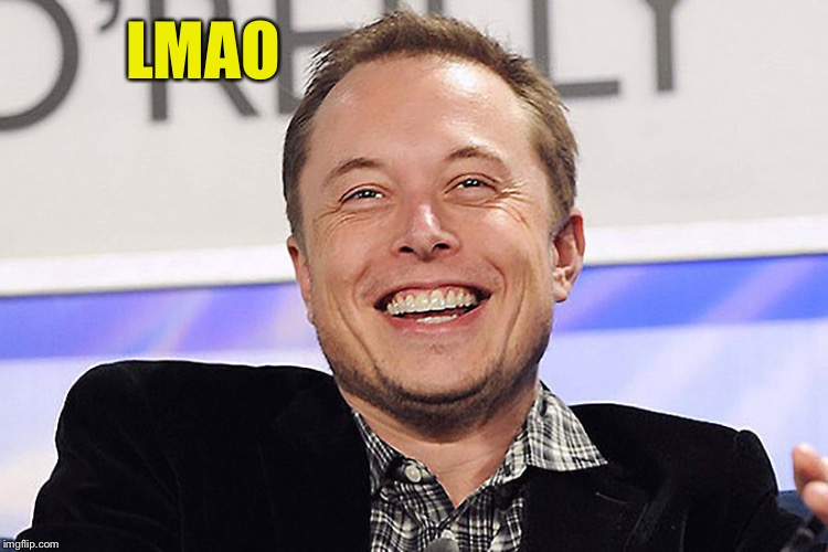 Elon musk | LMAO | image tagged in elon musk | made w/ Imgflip meme maker