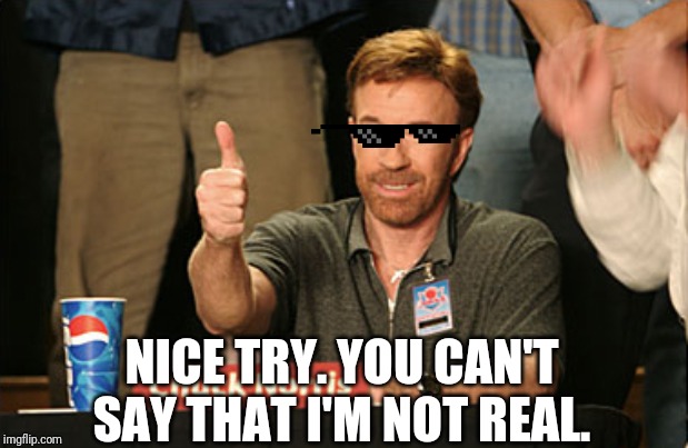 Chuck Norris Approves Meme | NICE TRY. YOU CAN'T SAY THAT I'M NOT REAL. | image tagged in memes,chuck norris approves,chuck norris | made w/ Imgflip meme maker