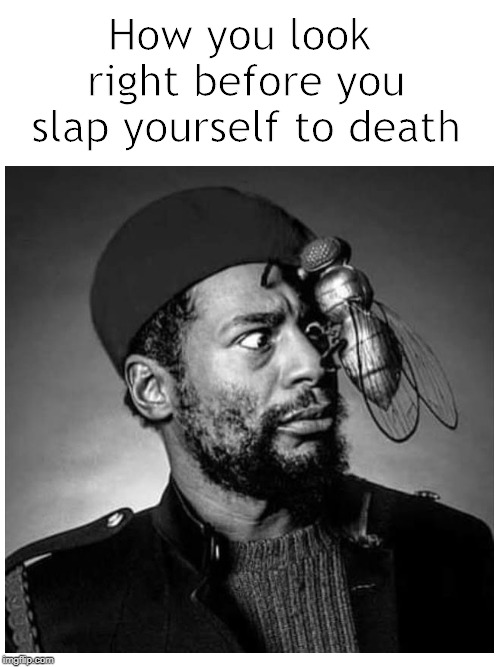 A bug this size on your face? You ain't got no choice.... | How you look right before you slap yourself to death | image tagged in bug,fly,slap,george clinton,insect | made w/ Imgflip meme maker