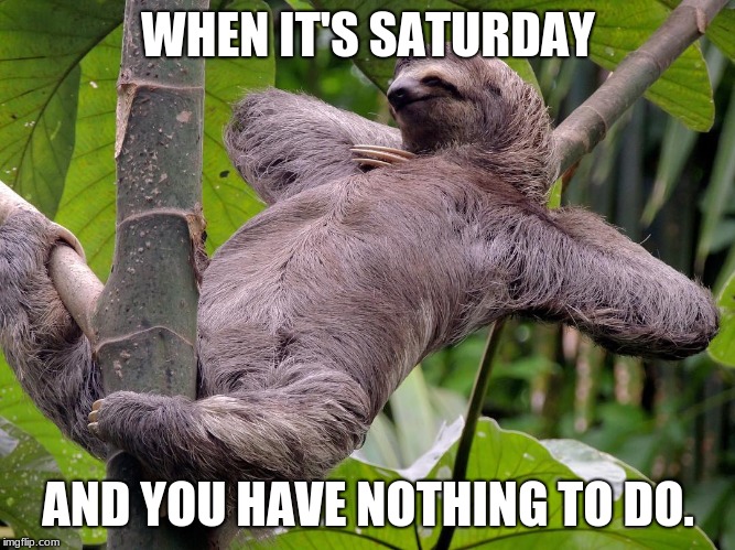 Sloth Memes | WHEN IT'S SATURDAY; AND YOU HAVE NOTHING TO DO. | image tagged in sloth memes | made w/ Imgflip meme maker