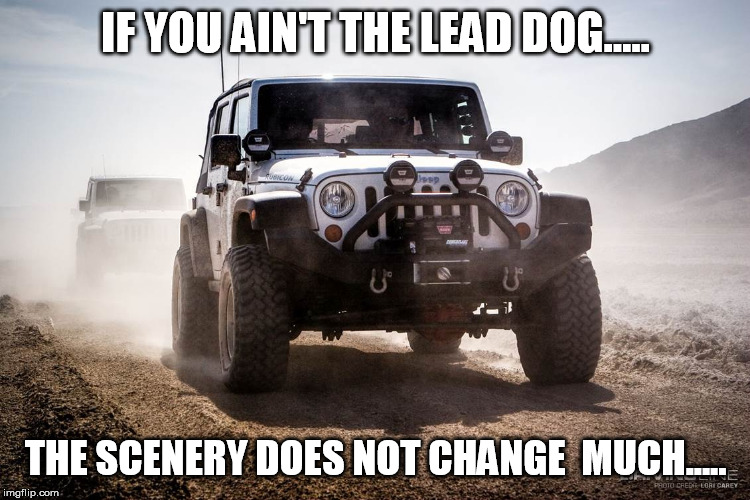 IF YOU AIN'T THE LEAD DOG..... THE SCENERY DOES NOT CHANGE 
MUCH..... | made w/ Imgflip meme maker
