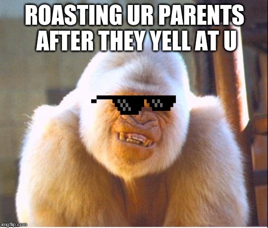 Roast too hard | ROASTING UR PARENTS AFTER THEY YELL AT U | image tagged in roast too hard | made w/ Imgflip meme maker