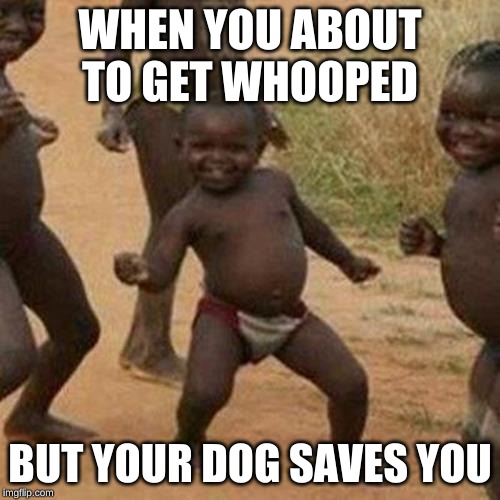 Third World Success Kid Meme | WHEN YOU ABOUT TO GET WHOOPED; BUT YOUR DOG SAVES YOU | image tagged in memes,third world success kid | made w/ Imgflip meme maker
