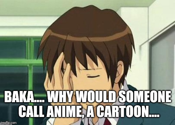 Kyon Face Palm Meme | BAKA.... WHY WOULD SOMEONE CALL ANIME, A CARTOON.... | image tagged in memes,kyon face palm | made w/ Imgflip meme maker
