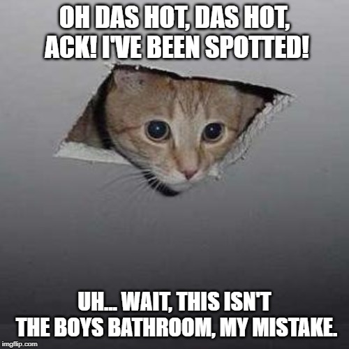 Ceiling Cat | OH DAS HOT, DAS HOT, ACK! I'VE BEEN SPOTTED! UH... WAIT, THIS ISN'T THE BOYS BATHROOM, MY MISTAKE. | image tagged in memes,ceiling cat | made w/ Imgflip meme maker