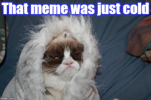 Cold grumpy cat  | That meme was just cold | image tagged in cold grumpy cat | made w/ Imgflip meme maker