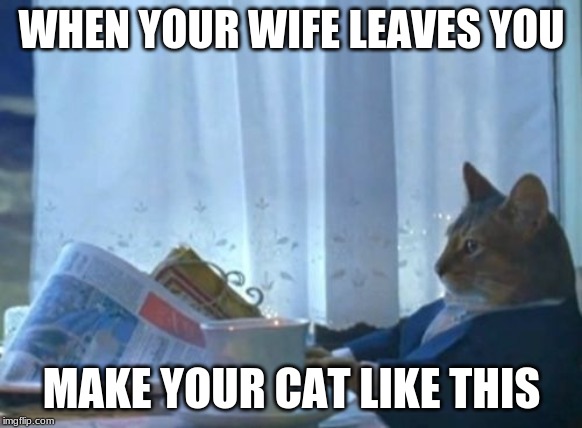 I Should Buy A Boat Cat Meme | WHEN YOUR WIFE LEAVES YOU; MAKE YOUR CAT LIKE THIS | image tagged in memes,i should buy a boat cat | made w/ Imgflip meme maker