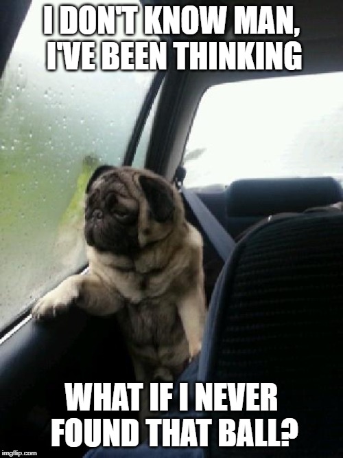 Introspective Pug |  I DON'T KNOW MAN, I'VE BEEN THINKING; WHAT IF I NEVER FOUND THAT BALL? | image tagged in introspective pug | made w/ Imgflip meme maker