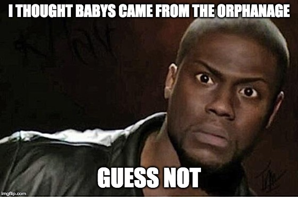 Kevin Hart Meme | I THOUGHT BABYS CAME FROM THE ORPHANAGE; GUESS NOT | image tagged in memes,kevin hart | made w/ Imgflip meme maker