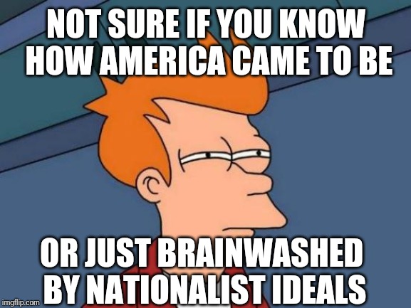 Futurama Fry Meme | NOT SURE IF YOU KNOW HOW AMERICA CAME TO BE OR JUST BRAINWASHED BY NATIONALIST IDEALS | image tagged in memes,futurama fry | made w/ Imgflip meme maker