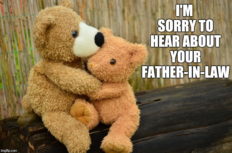 condolance caring consolation teddy bears | I'M SORRY TO HEAR ABOUT YOUR FATHER-IN-LAW | image tagged in condolance caring consolation teddy bears | made w/ Imgflip meme maker