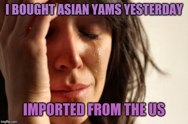 First World Problems Meme | I BOUGHT ASIAN YAMS YESTERDAY IMPORTED FROM THE US | image tagged in memes,first world problems | made w/ Imgflip meme maker