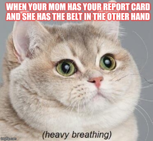 Heavy Breathing Cat | WHEN YOUR MOM HAS YOUR REPORT CARD AND SHE HAS THE BELT IN THE OTHER HAND | image tagged in memes,heavy breathing cat | made w/ Imgflip meme maker