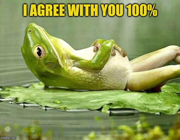 Lazy frog | I AGREE WITH YOU 100% | image tagged in lazy frog | made w/ Imgflip meme maker