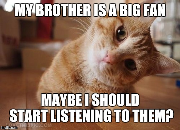 Curious Question Cat | MY BROTHER IS A BIG FAN MAYBE I SHOULD START LISTENING TO THEM? | image tagged in curious question cat | made w/ Imgflip meme maker
