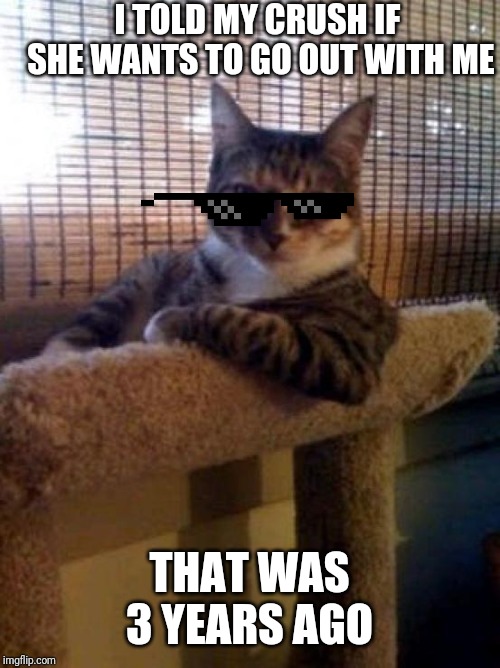The Most Interesting Cat In The World | I TOLD MY CRUSH IF SHE WANTS TO GO OUT WITH ME; THAT WAS 3 YEARS AGO | image tagged in memes,the most interesting cat in the world | made w/ Imgflip meme maker