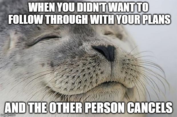Satisfied Seal Meme | WHEN YOU DIDN'T WANT TO FOLLOW THROUGH WITH YOUR PLANS; AND THE OTHER PERSON CANCELS | image tagged in memes,satisfied seal,AdviceAnimals | made w/ Imgflip meme maker