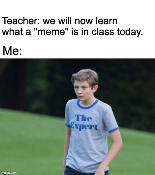 I really hope this is possible... | Teacher: we will now learn what a "meme" is in class today. Me: | image tagged in the expert | made w/ Imgflip meme maker