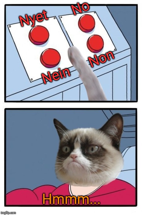 Grumpy Cat Four Buttons | No Hmmm... Nein Nyet Non | image tagged in grumpy cat four buttons | made w/ Imgflip meme maker