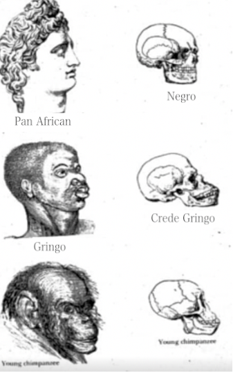 SCIENTIFIC RACISM Blank Meme Template