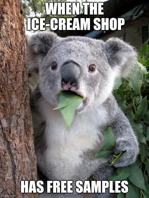 Surprised Koala Meme | WHEN THE ICE-CREAM SHOP; HAS FREE SAMPLES | image tagged in memes,surprised koala | made w/ Imgflip meme maker
