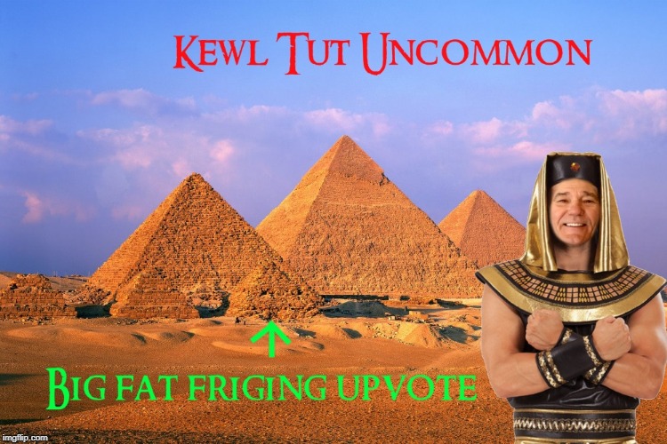 kewl tut uncommon | image tagged in kewl tut uncommon | made w/ Imgflip meme maker