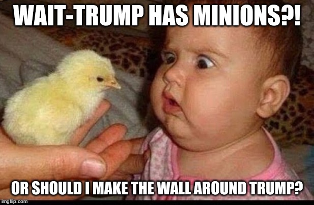 WAIT-TRUMP HAS MINIONS?! OR SHOULD I MAKE THE WALL AROUND TRUMP? | image tagged in donald trump,chick,baby | made w/ Imgflip meme maker