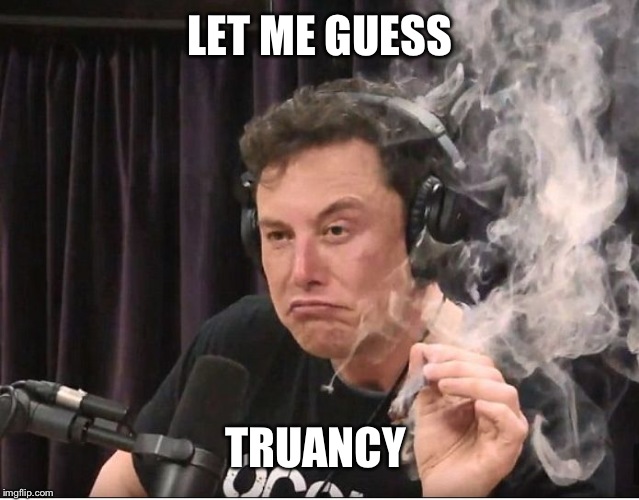 Elon Musk smoking a joint | LET ME GUESS TRUANCY | image tagged in elon musk smoking a joint | made w/ Imgflip meme maker